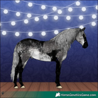 Horse Color:Void Platinum Silver Buckskin Splash Tobiano 