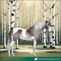 Horse Color:Gray Platinum Chocolate Brown Splash Tobiano 