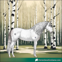 Horse Color:Gray Platinum Chocolate Brown Splash Tobiano 
