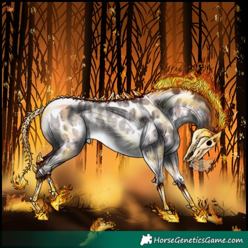 Horse Color:Chocolate Silver Brown Chinchilla Dun Sabino Tobiano Appaloosa Rabicano Brindle 