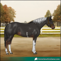 Horse Color:Liver Chestnut Tobiano 