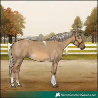 Horse Color:Chocolate Palomino Dun Tobiano 