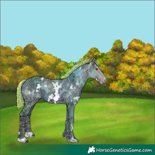 Horse Color:Painted Watercolor White Spotted Silver Amber Champagne Chinchilla Ice 