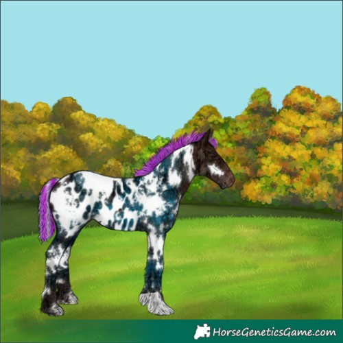 Horse Color:Painted White Spotted Silver Brown Ice Appaloosa 