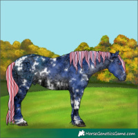 Horse Color:Painted Watercolor White Spotted Silver Brown Chinchilla Ice 