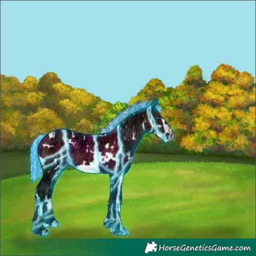 Horse Color:Painted Thunderstruck White Spotted Silver Brown Ice Frame 