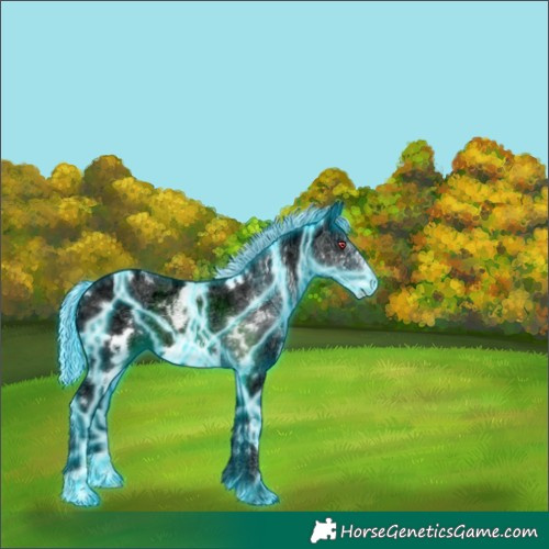 Horse Color:Painted Thunderstruck White Spotted Silver Black Chinchilla Ice Frame 