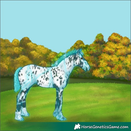 Horse Color:Thunderstruck Watercolor White Spotted Midnight Liver Chestnut Ice Appaloosa 
