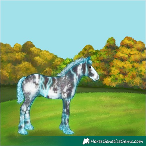 Horse Color:Thunderstruck Watercolor White Spotted Midnight Silver Black Ice Frame 