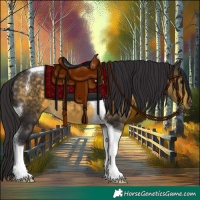 Horse Color:Buckskin Tobiano 