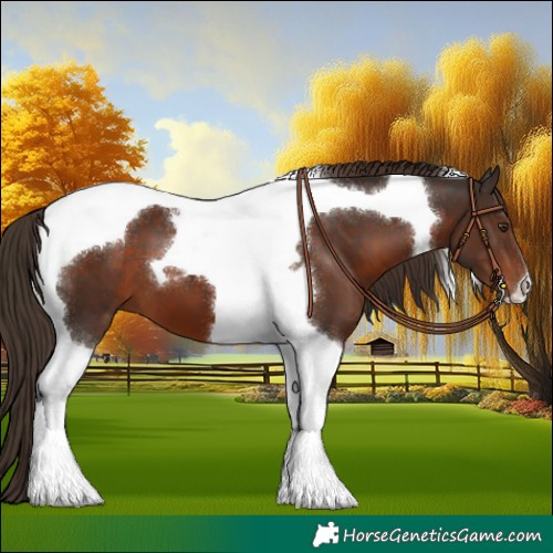 Horse Color:Liver Chestnut Tobiano 