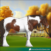Horse Color:Liver Chestnut Tobiano 