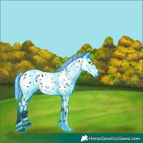Horse Color:Painted Thunderstruck White Spotted Silver Bay Ice Appaloosa 