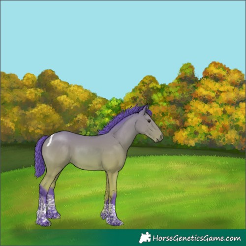 Horse Color:Watercolor Bay Tobiano