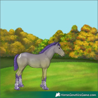 Horse Color:Watercolor Bay Tobiano