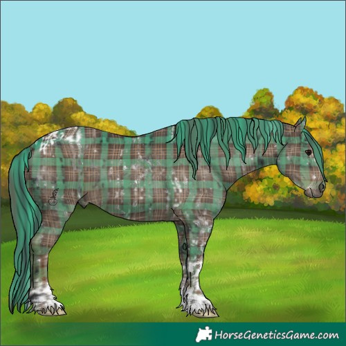 Horse Color:Plaid  Black Sabino Tobiano  and Plaid  Liver Chestnut Tobiano 