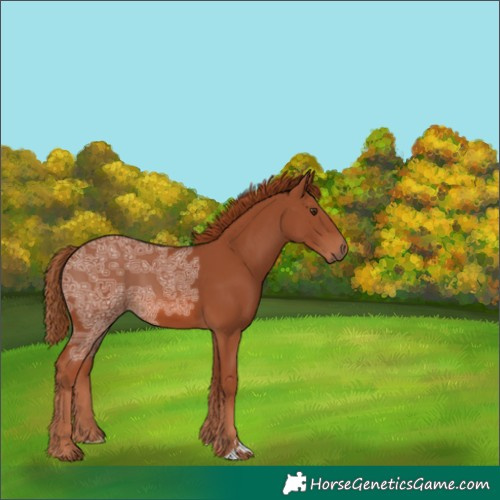 Horse Color:Chestnut Ice 