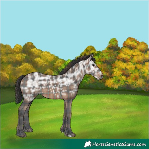 Horse Color:Plaid  Brown Ice 