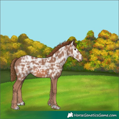 Horse Color:Chestnut Ice 