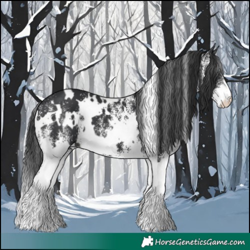 Horse Color:White Spotted Black 