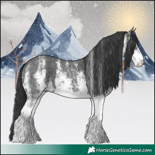 Horse Color:White Spotted Black