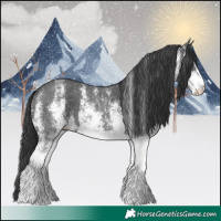 Horse Color:White Spotted Black