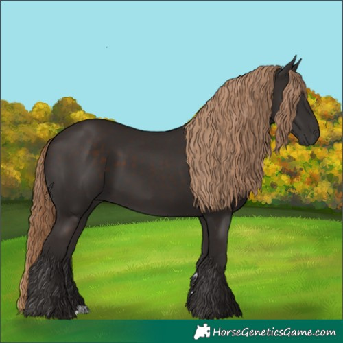 Horse Color:Liver Chestnut Rabicano 