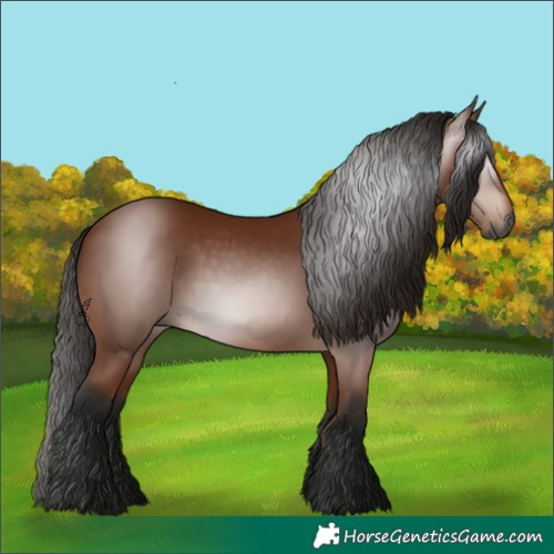 Horse Color:Gray Bay 