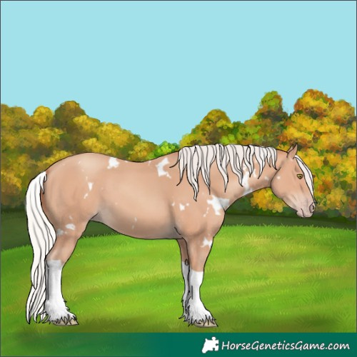 Horse Color:White Spotted Silver Amber Champagne Tobiano 