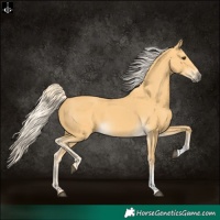 Horse Color:Palomino  and Palomino 