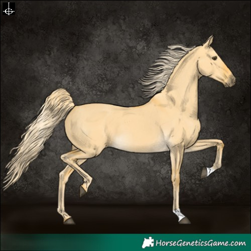 Horse Color:Palomino Dun 