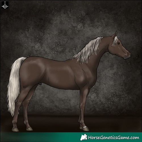 Horse Color:Gray Silver Black 