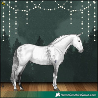 Horse Color:Gray Platinum Brown Tobiano Near Leopard Rabicano 