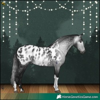 Horse Color:Gray Platinum Brown Tobiano Appaloosa Rabicano