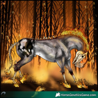 Horse Color:Void Chocolate Brown Chinchilla Dun Appaloosa 