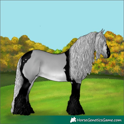 Horse Color:Void Silver Brown Chinchilla Dun Tobiano 