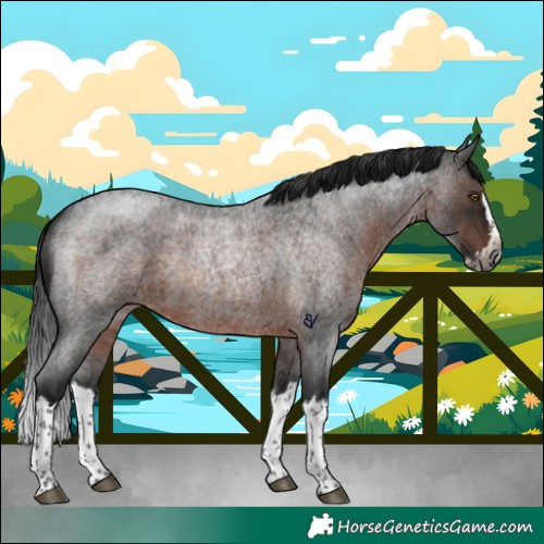 Horse Color:Gray Brown Roan Splash Rabicano 