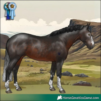 Horse Color:Gray Brown Rabicano 