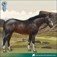 Horse Color:Gray Brown Rabicano 