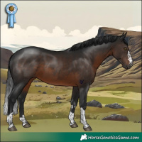 Horse Color:Gray Brown Rabicano