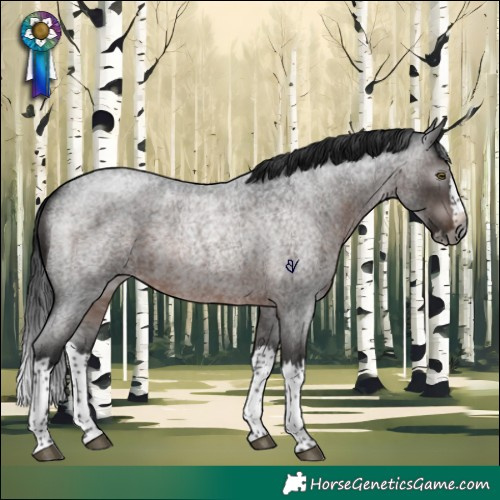 Horse Color:Gray Brown Roan Splash Rabicano 