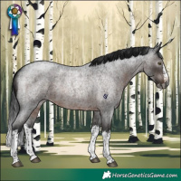 Horse Color:Gray Brown Roan Splash Rabicano 