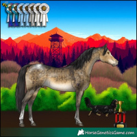 Horse Color:Buckskin Dun Tobiano Frame Rabicano Brindle 