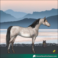 Horse Color:White Spotted Brown Roan Dun Rabicano Brindle 