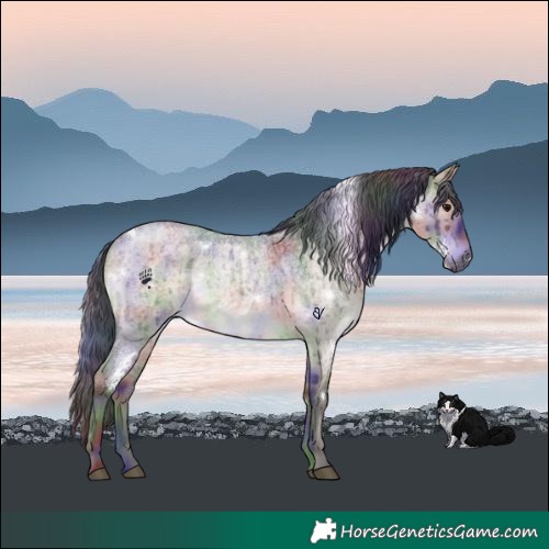 Horse Color:Nacre White Spotted Brown Roan Dun Brindle 