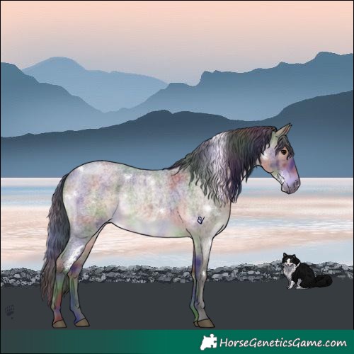 Horse Color:Nacre White Spotted Brown Roan Dun Brindle 