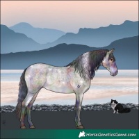 Horse Color:Nacre White Spotted Brown Roan Dun Brindle