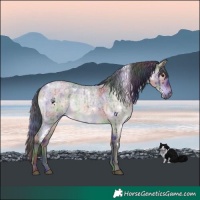 Horse Color:Nacre White Spotted Brown Roan Dun Brindle 