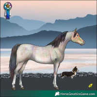Horse Color:Nacre Buckskin Roan Dun Tobiano Frame Rabicano Brindle 
