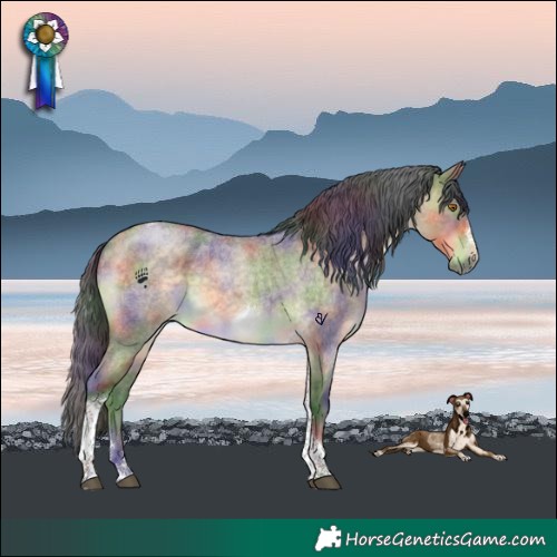 Horse Color:Nacre Buckskin Roan Dun Tobiano Frame Brindle 